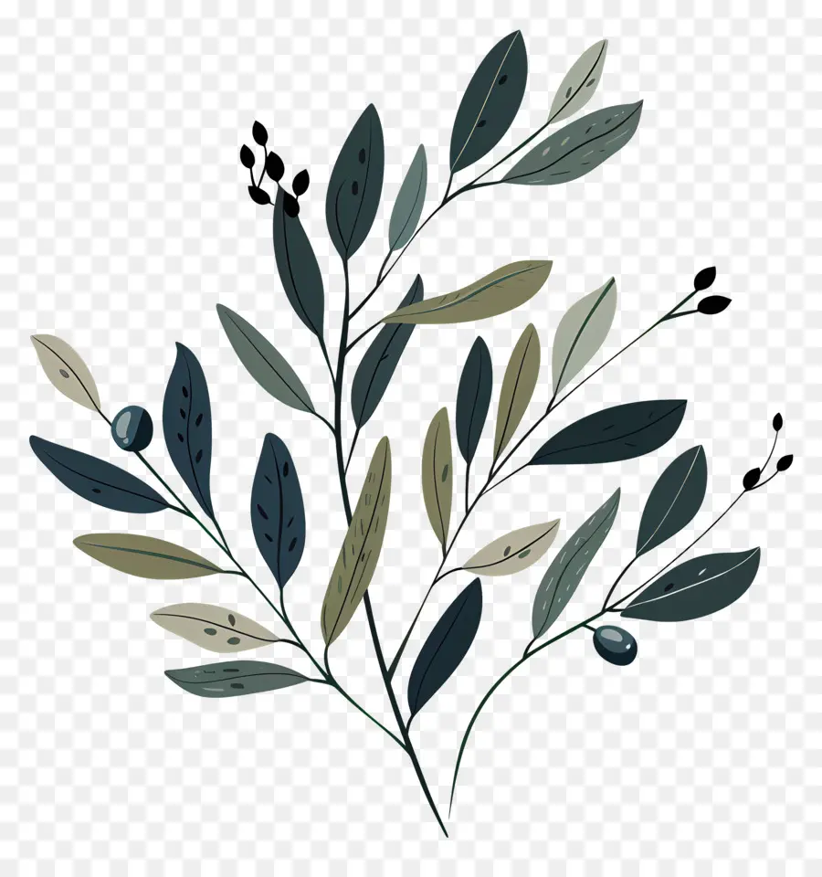 Olive Branch，Folhas Verdes PNG