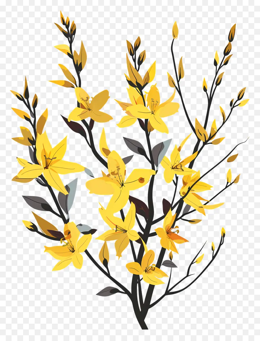 Forsythia，Flores Amarelas PNG
