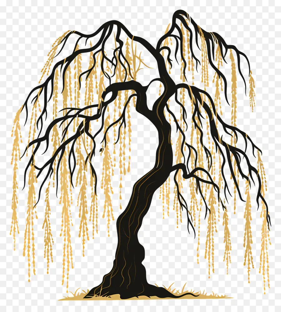 Salgueiro，árvore De Desenho PNG