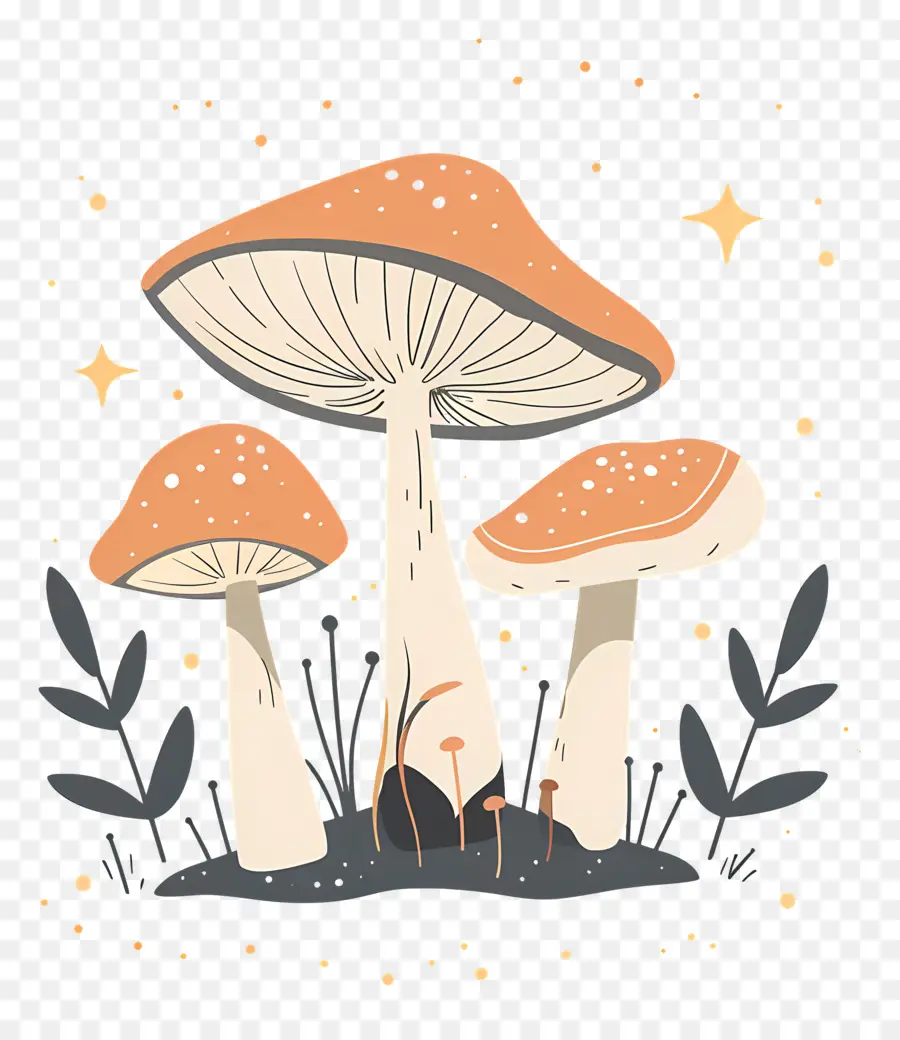 Cogumelo Mágico，Cogumelos PNG
