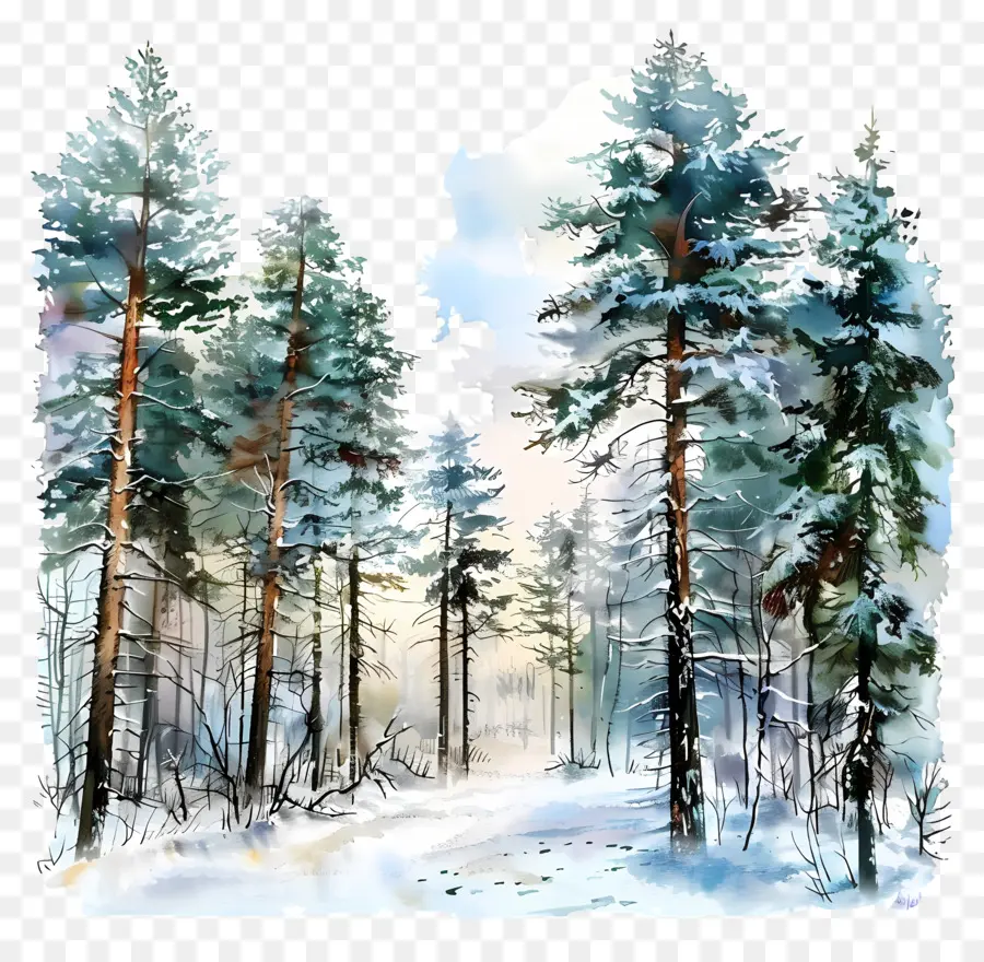 Floresta Do Inverno，Pintura Em Aquarela PNG