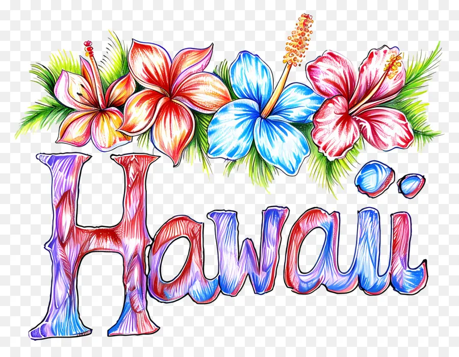 Havaí，Havaianas PNG
