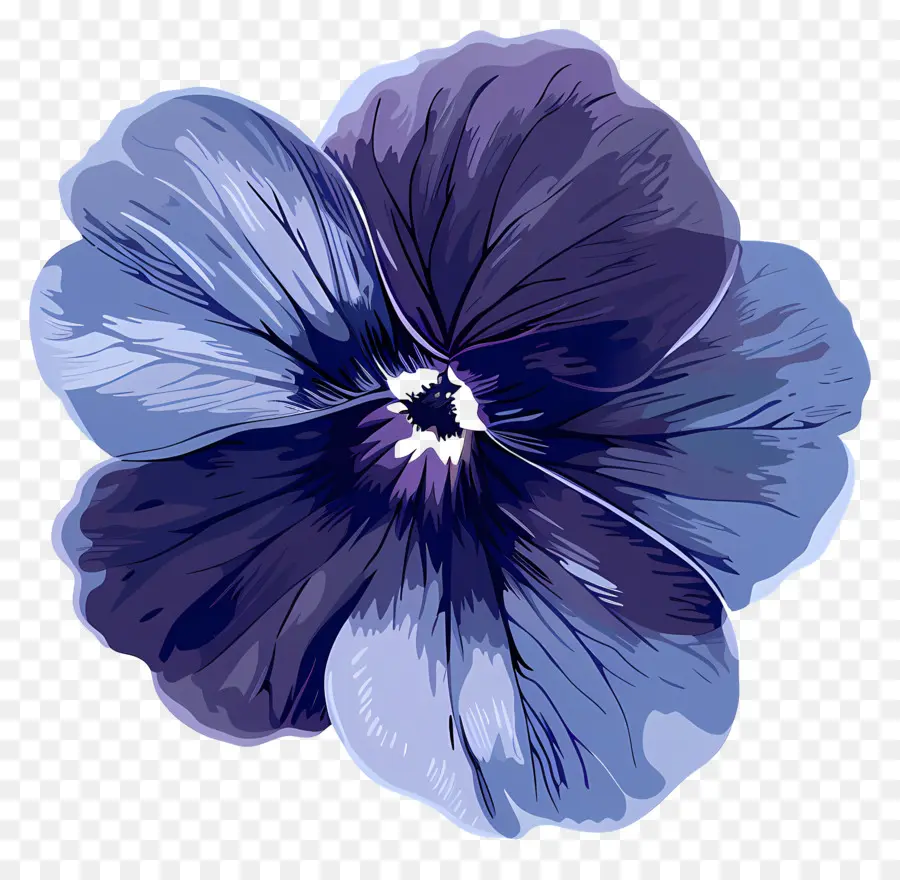 Flor Violeta，Flor Azul PNG