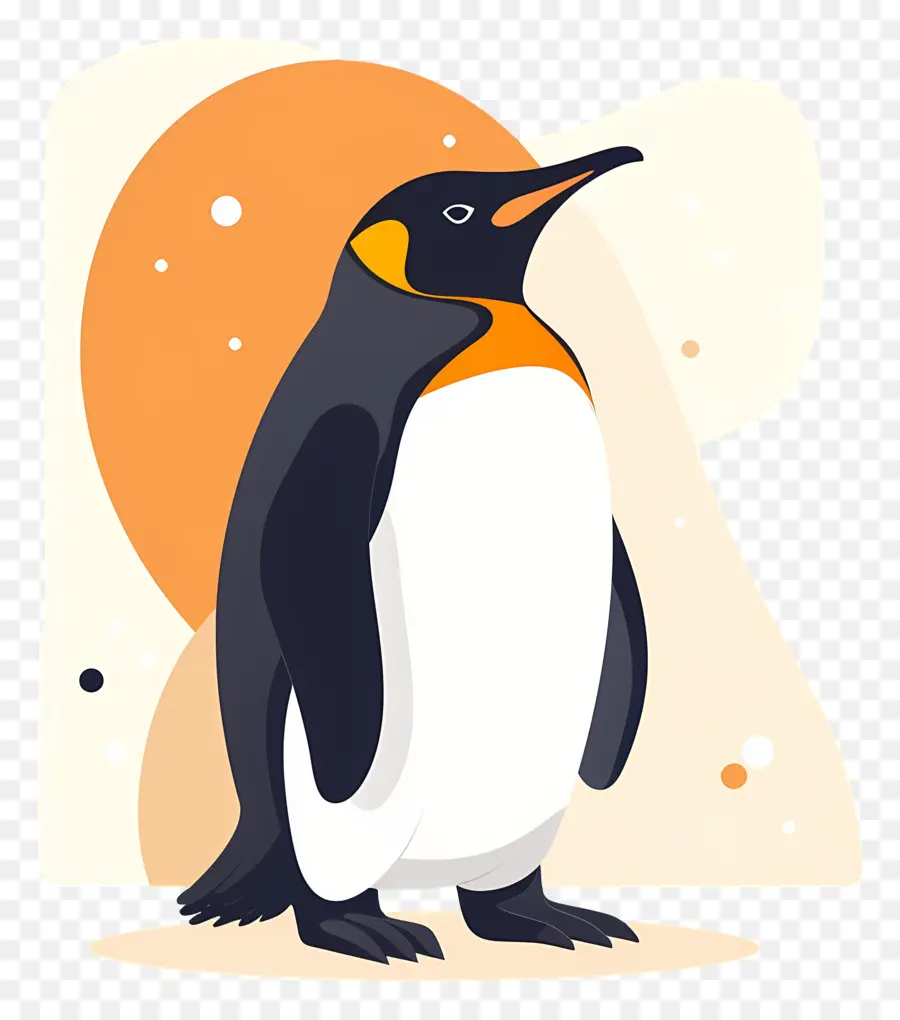 Penguin，Laranja PNG
