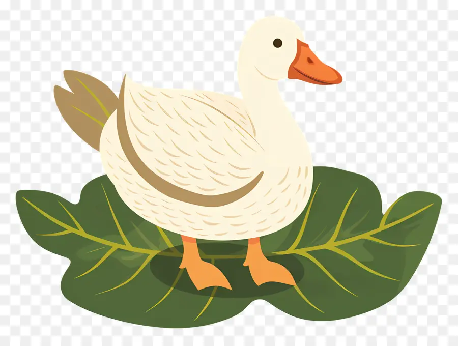 Desenho De Pato，Pato PNG