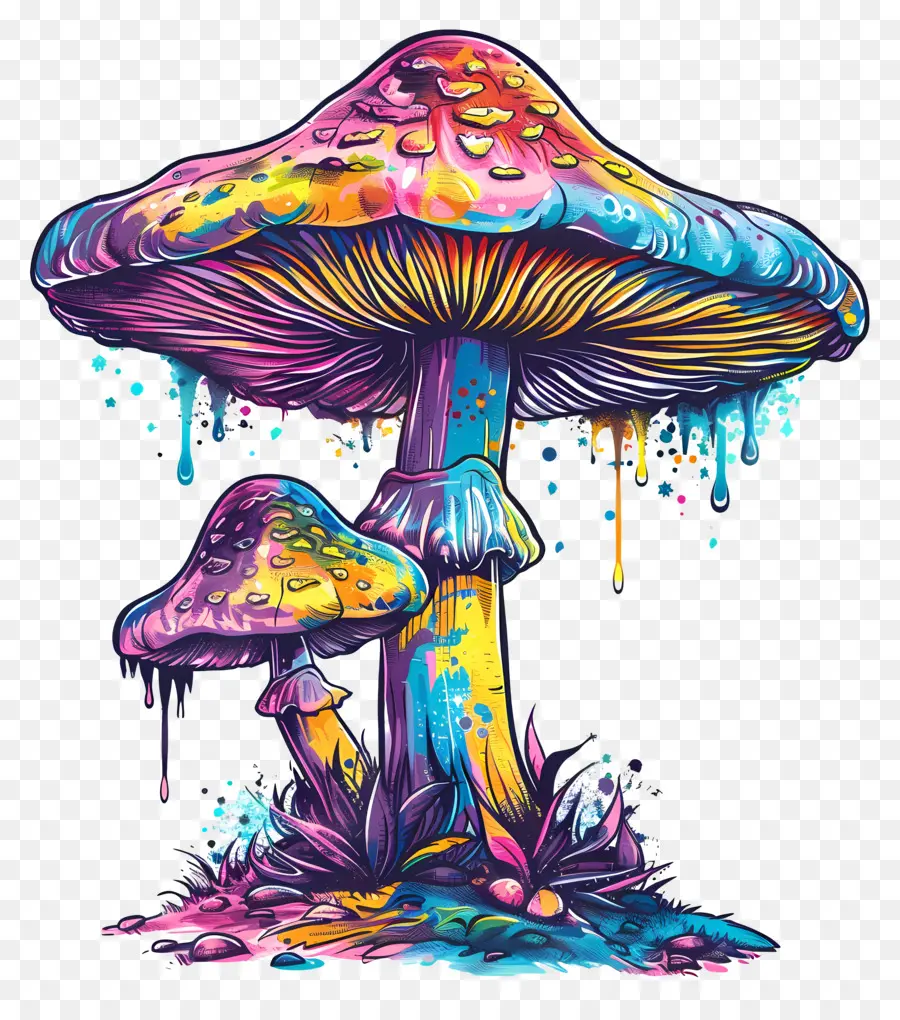 Cogumelo Mágico，Cogumelos Arco  íris PNG