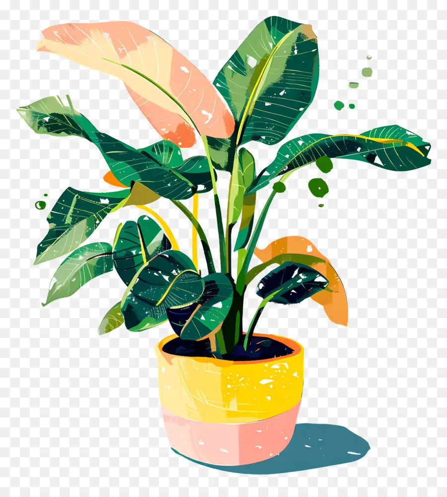 Plantar，Planta Em Vaso PNG