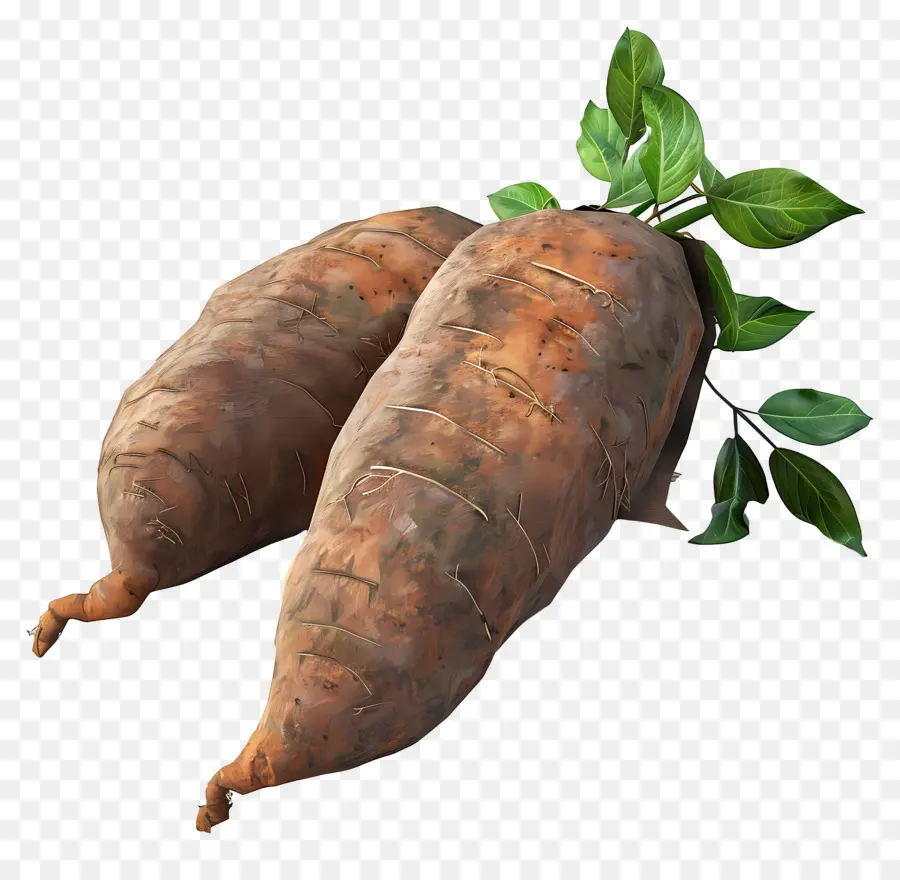 Inhame，Batata Doce PNG