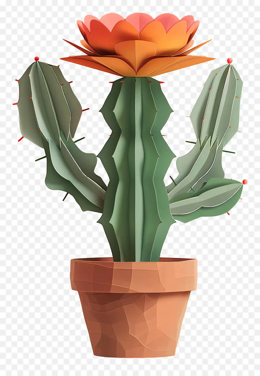 Cactus，Planta Do Cacto PNG