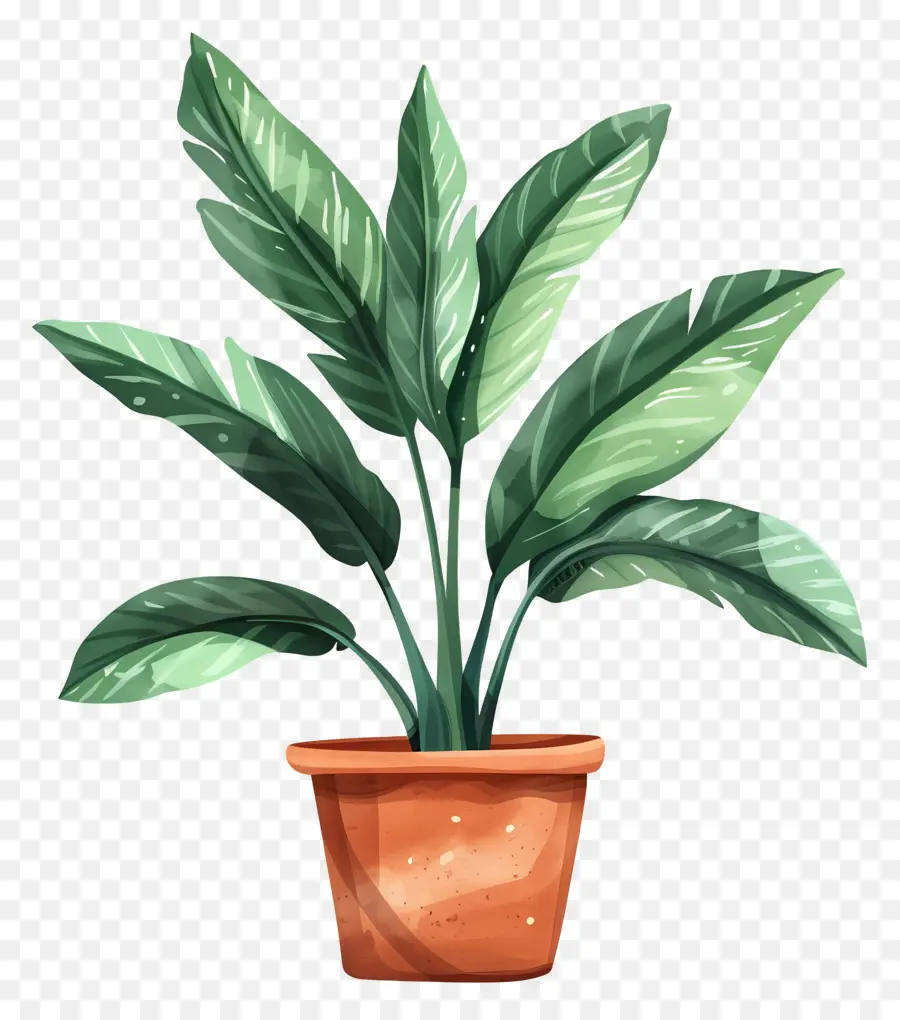 Plantar，Planta Em Vaso Verde PNG