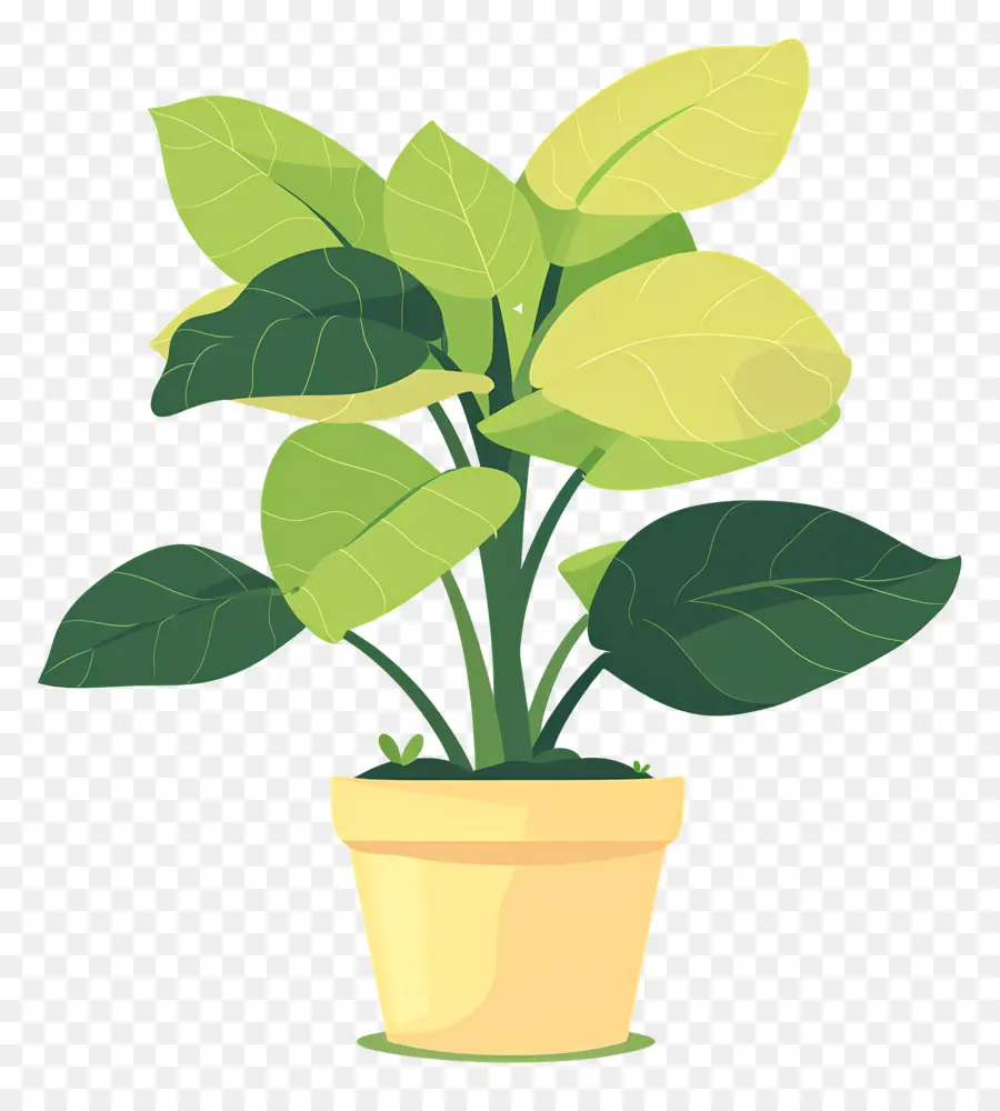 Planta Em Vaso，Planta PNG