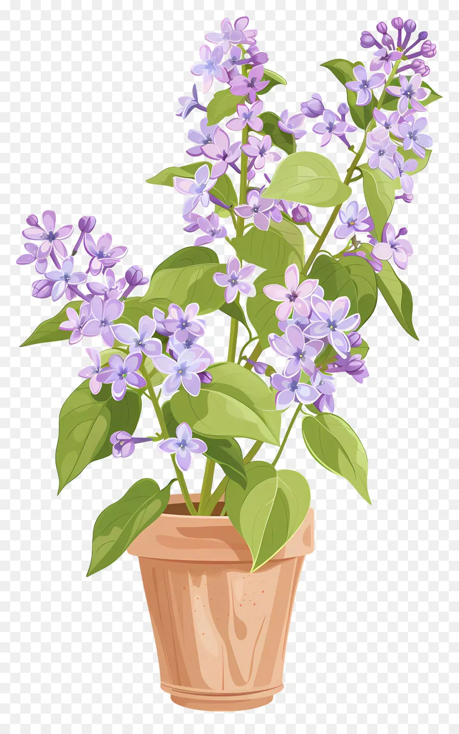 Flores Lilás，Pequena Planta Em Vasos PNG