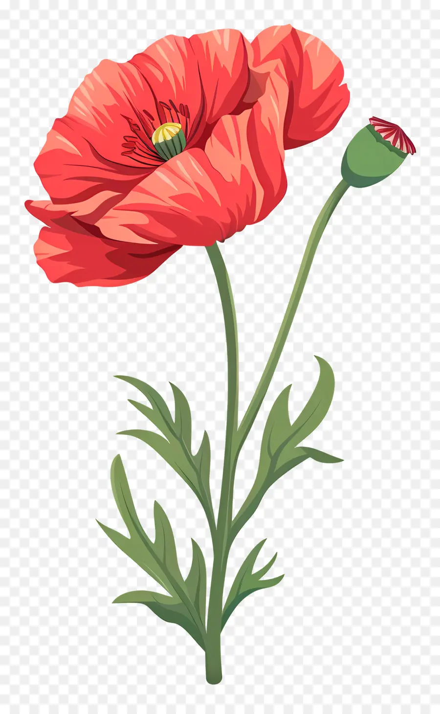 Flor De Papoula，Flor De Papoula Vermelha PNG