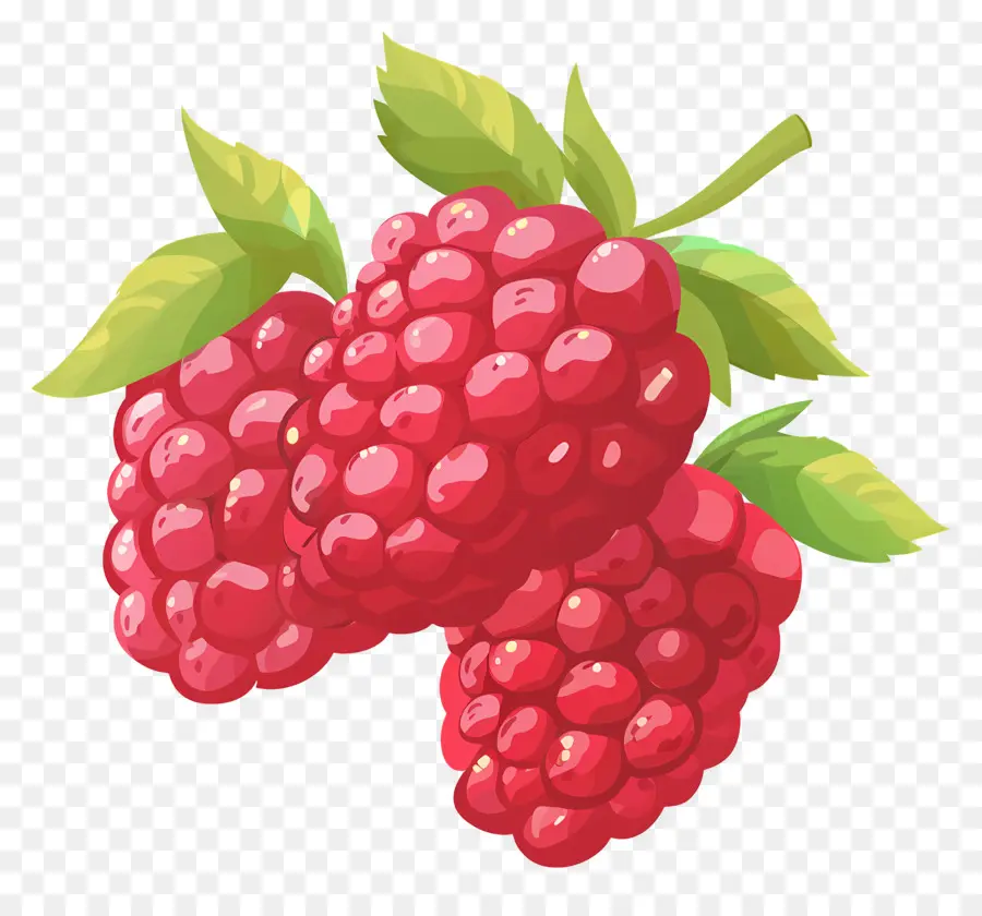 Framboesas，Frutas PNG