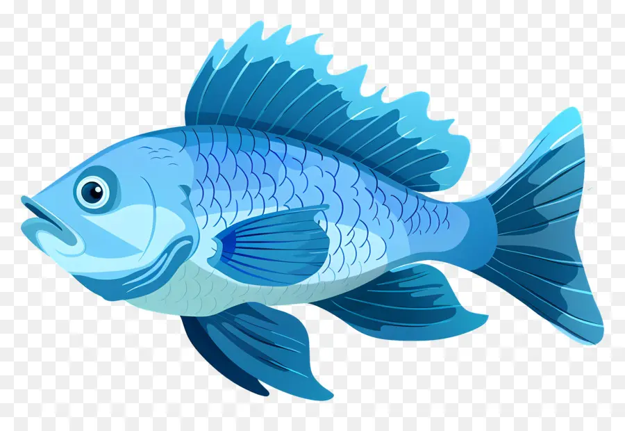 Peixe，Peixe Azul PNG