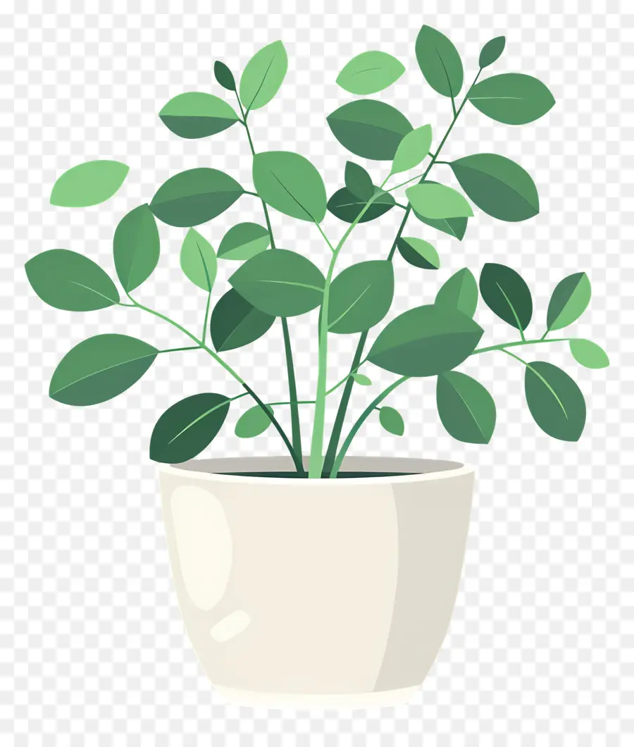 Plantar Em Vaso，Planta Em Vaso PNG