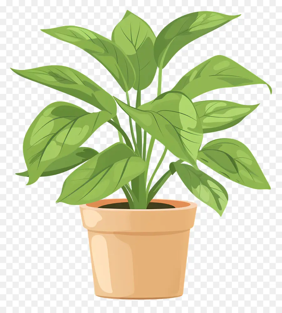 Planta Em Vaso，Planta De Casa PNG