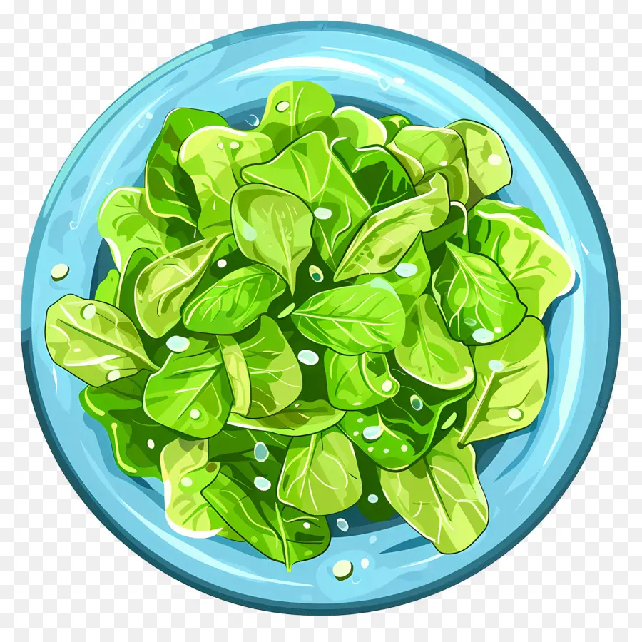 Salada Verde，Folhas Verdes PNG