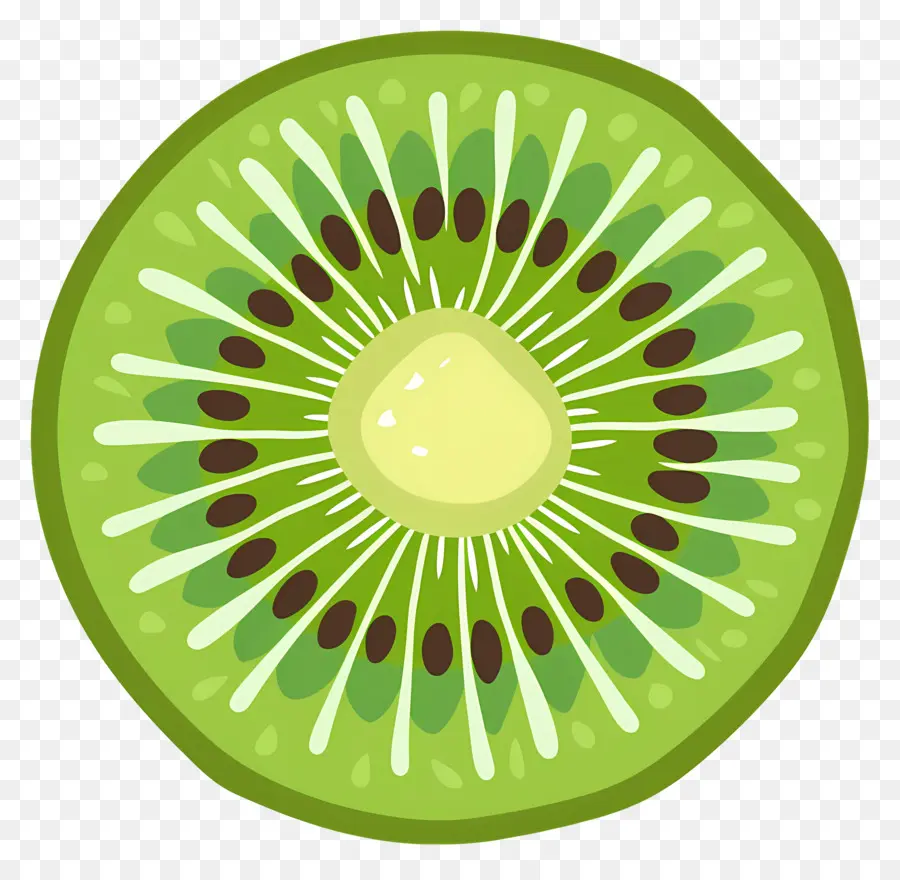 O Kiwi，Actinidia Deliciosa PNG