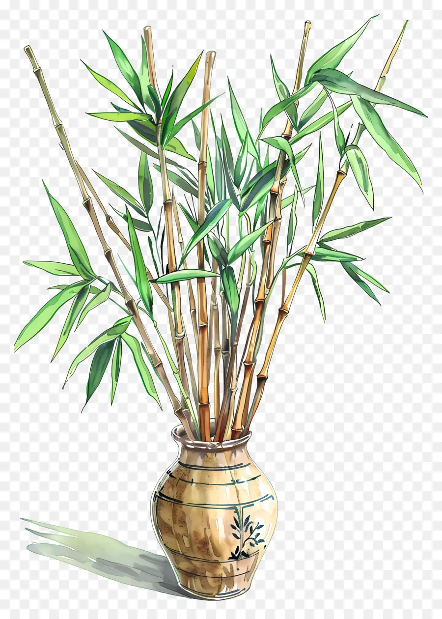 Bambu Em Vaso，Bambu PNG