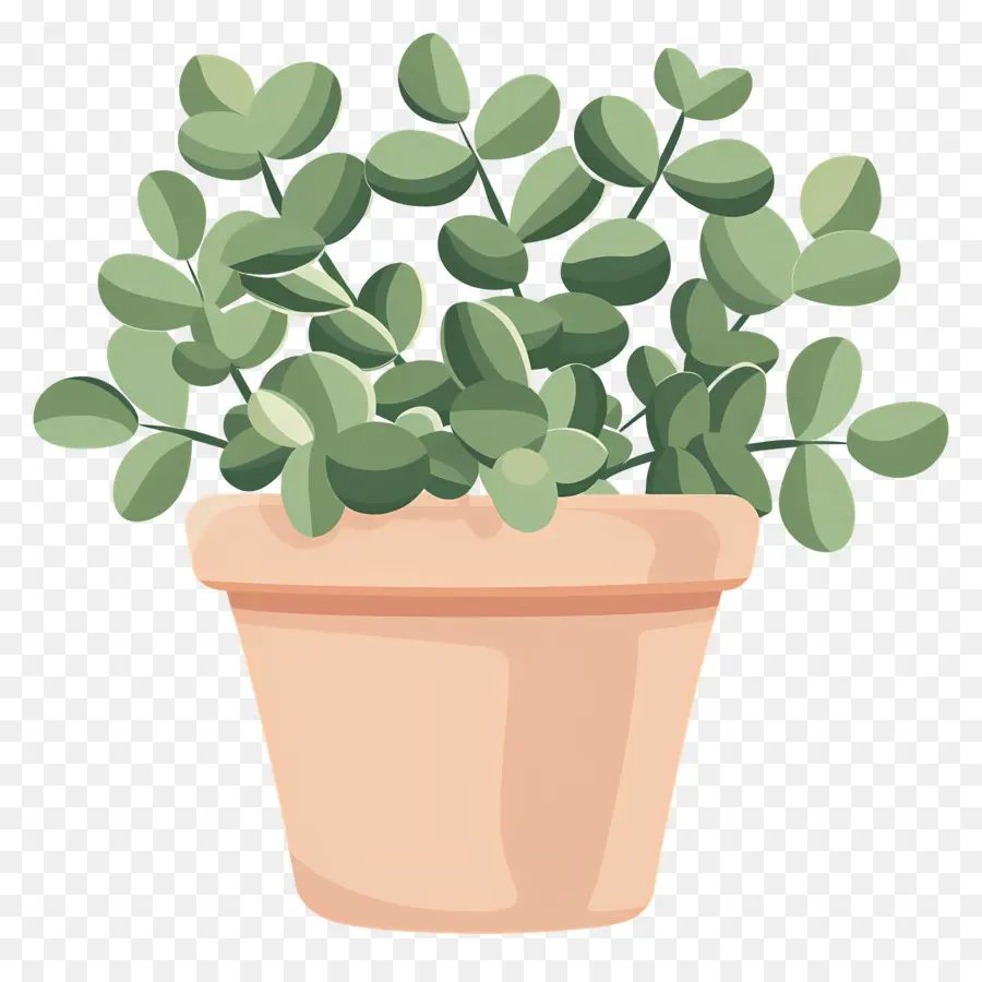 Planta Em Vaso，Planta De Vaso PNG