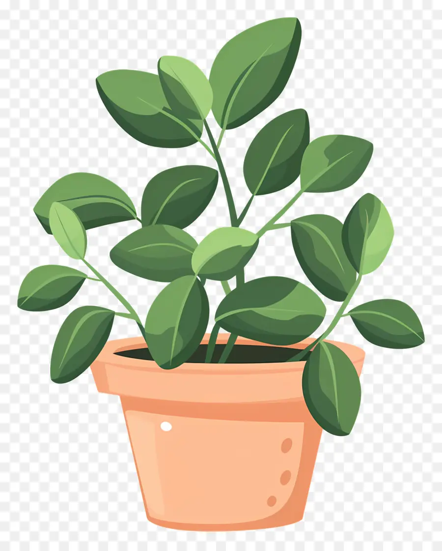 Planta Em Vaso，Planta De Vaso PNG
