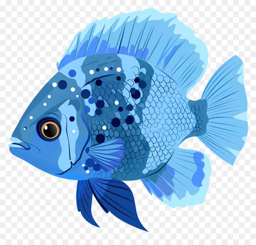 Peixe，Peixe Azul PNG