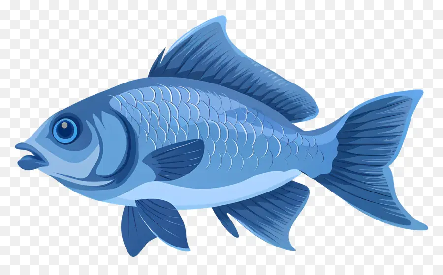 Peixe，Peixe Azul PNG