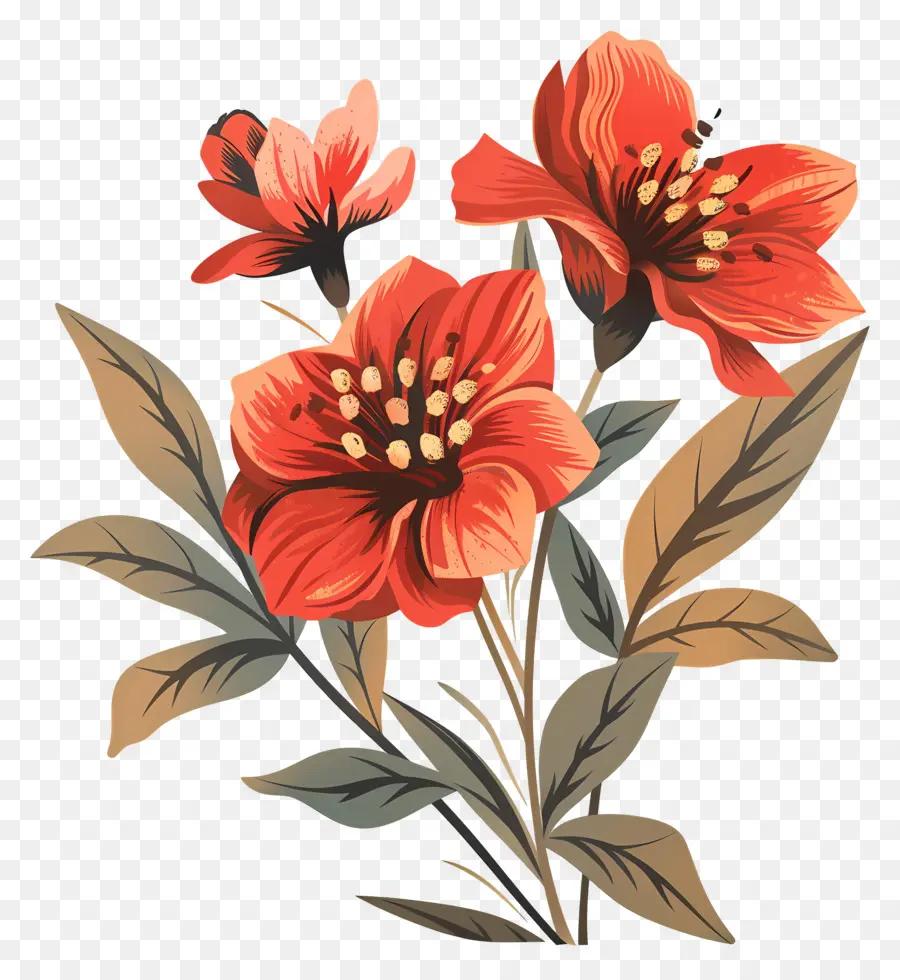 Vintage Flor，Flores De Laranja E Vermelho PNG