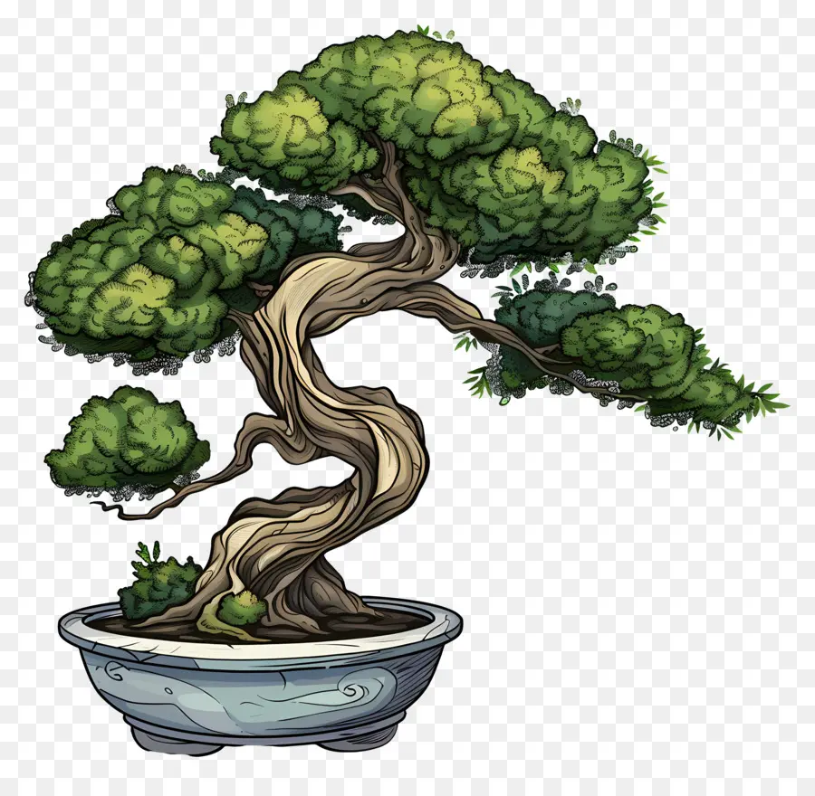 Uma árvore Bonsai，Pedra Pote PNG