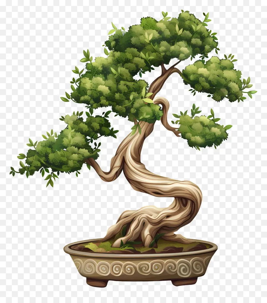 Uma árvore Bonsai，Container Jardinagem PNG