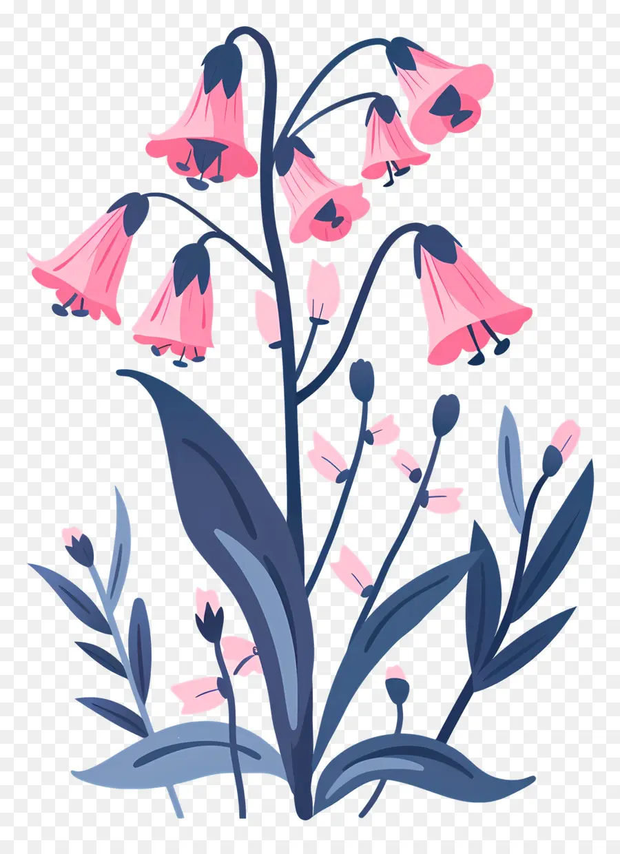 O Bluebells，Flores Cor De Rosa PNG