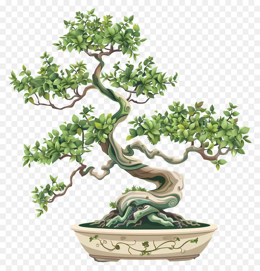 Uma árvore Bonsai，Folhas Verdes PNG
