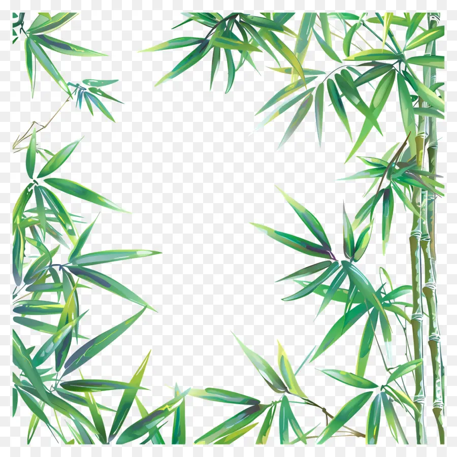 Borda Da Folha De Bambu，Bambu PNG