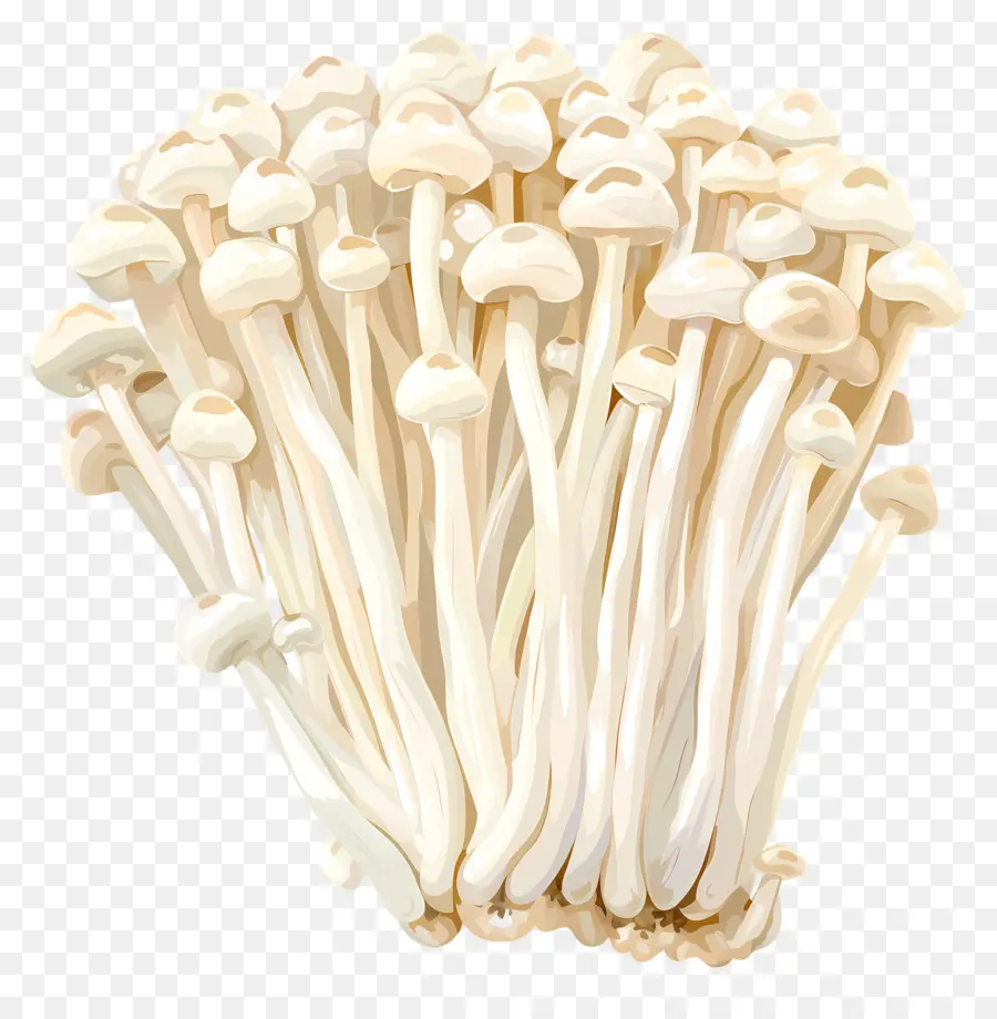 Cogumelos Enoki，Cogumelos PNG