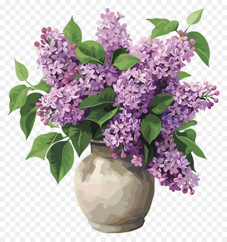Lilaça Estética，Flores Roxas PNG