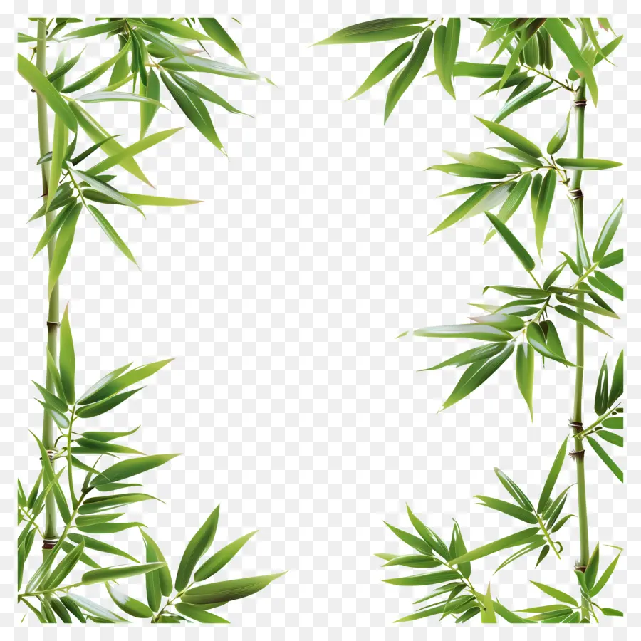 Borda Da Folha De Bambu，Planta De Bambu PNG