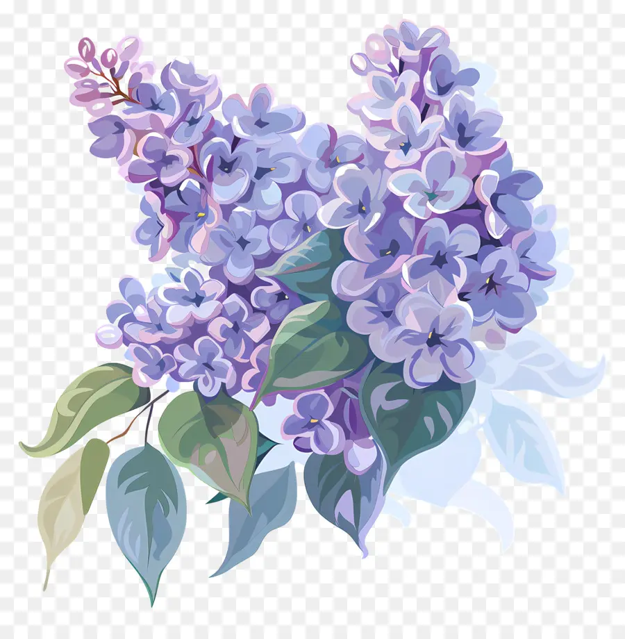 Lilaça Estética，Bouquet Lilac PNG