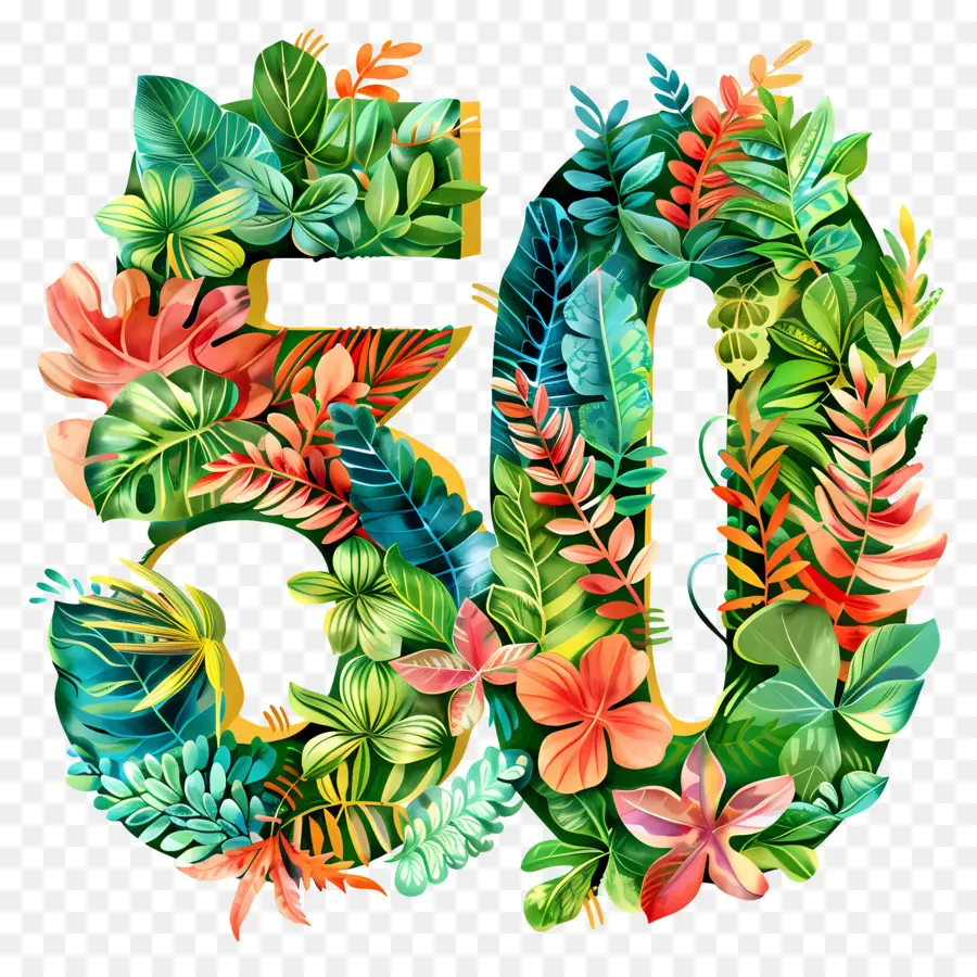 O Número 50，Tropical Folhas PNG