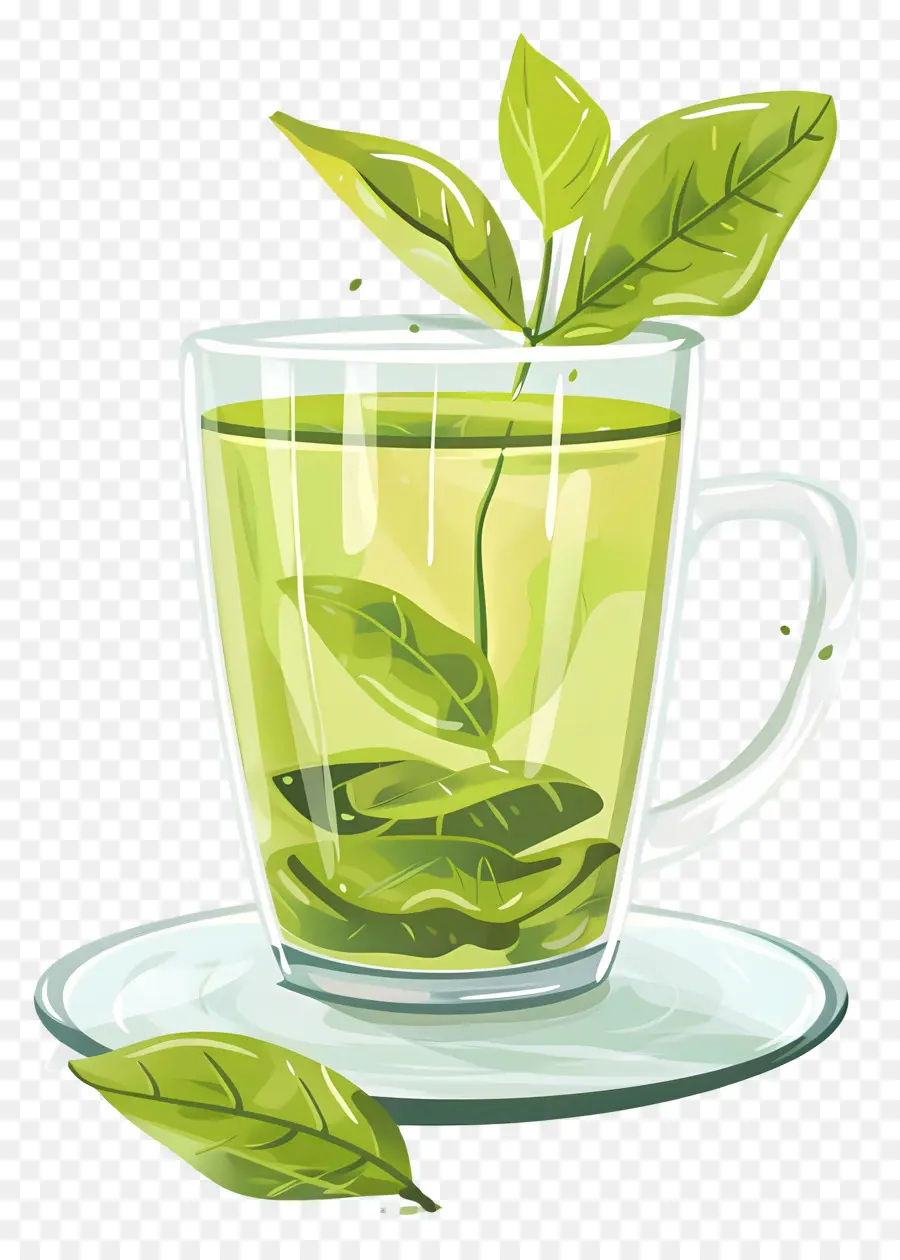 O Chá Verde，Folhas De Chá PNG