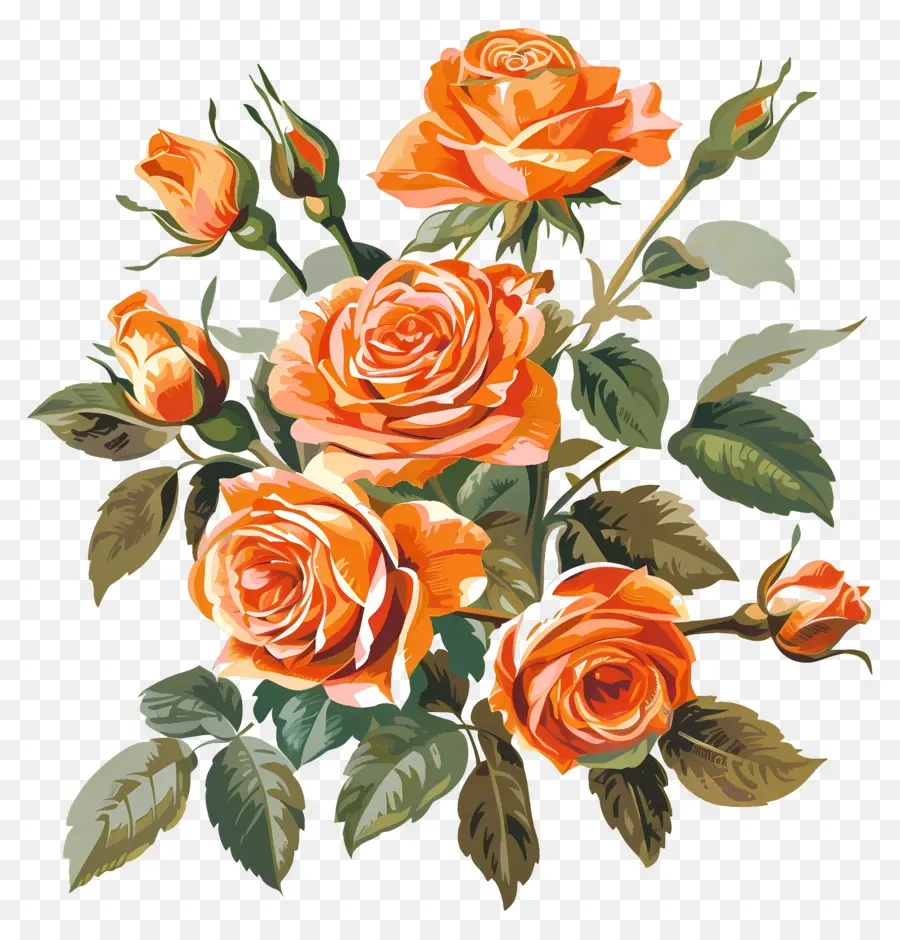 Rose Bouquet，Laranja As Rosas PNG