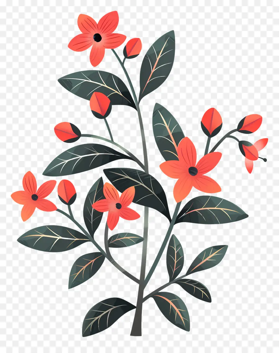 Flores De Laranja，Planta De Folhas Verdes PNG