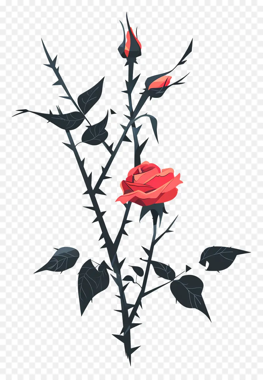 Espinhos Da Roseira，Rosa Vermelha PNG