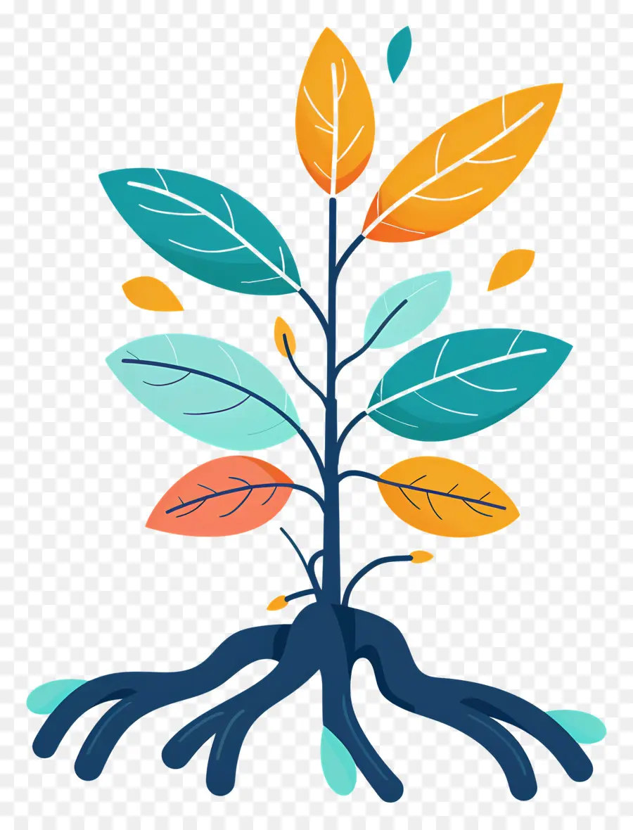 Raiz Da Planta，Cartoon árvore PNG