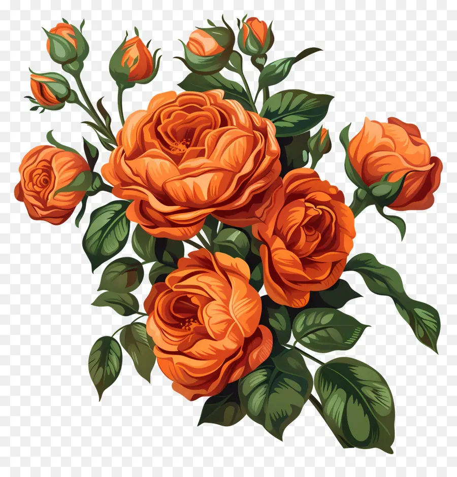 Rose Bouquet，Laranja As Rosas PNG