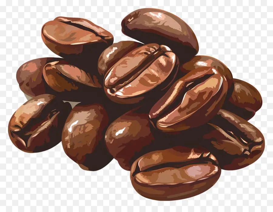 Grãos De Café，Brown PNG