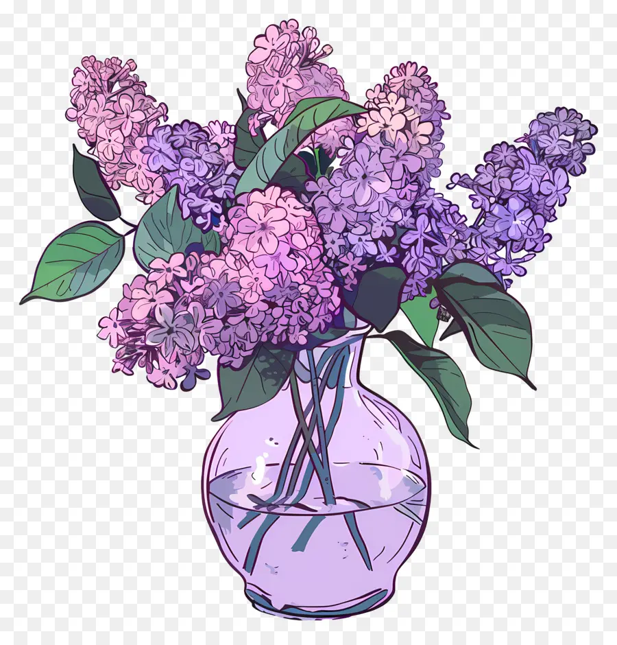 Lilaça Estética，Flores De Lila Púrpura PNG
