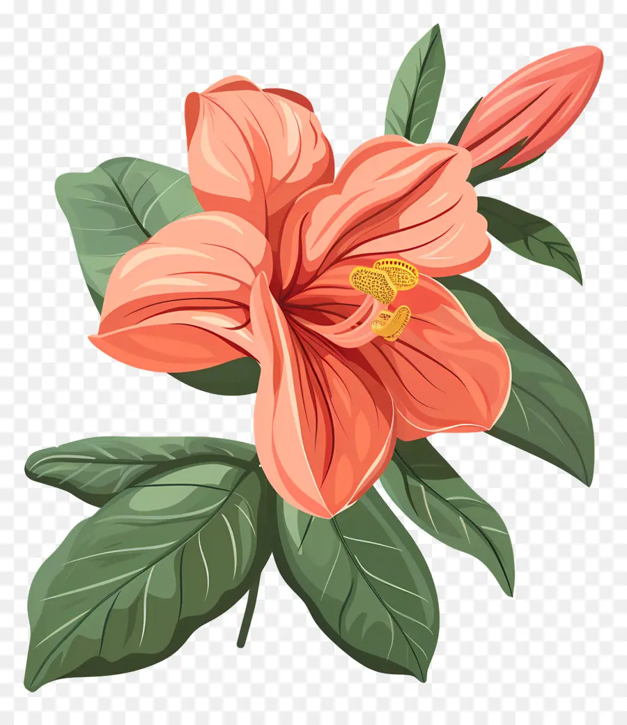 Vintage Flor，Flor Da Laranja PNG