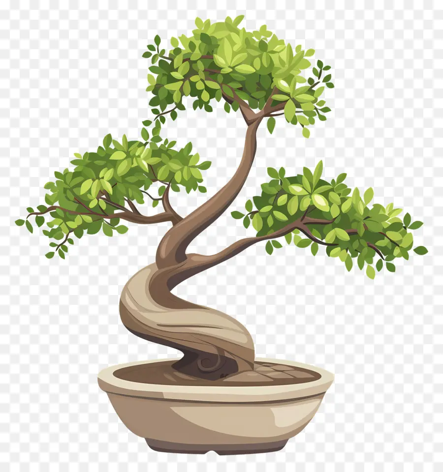 Uma árvore Bonsai，Jardinagem Interior PNG