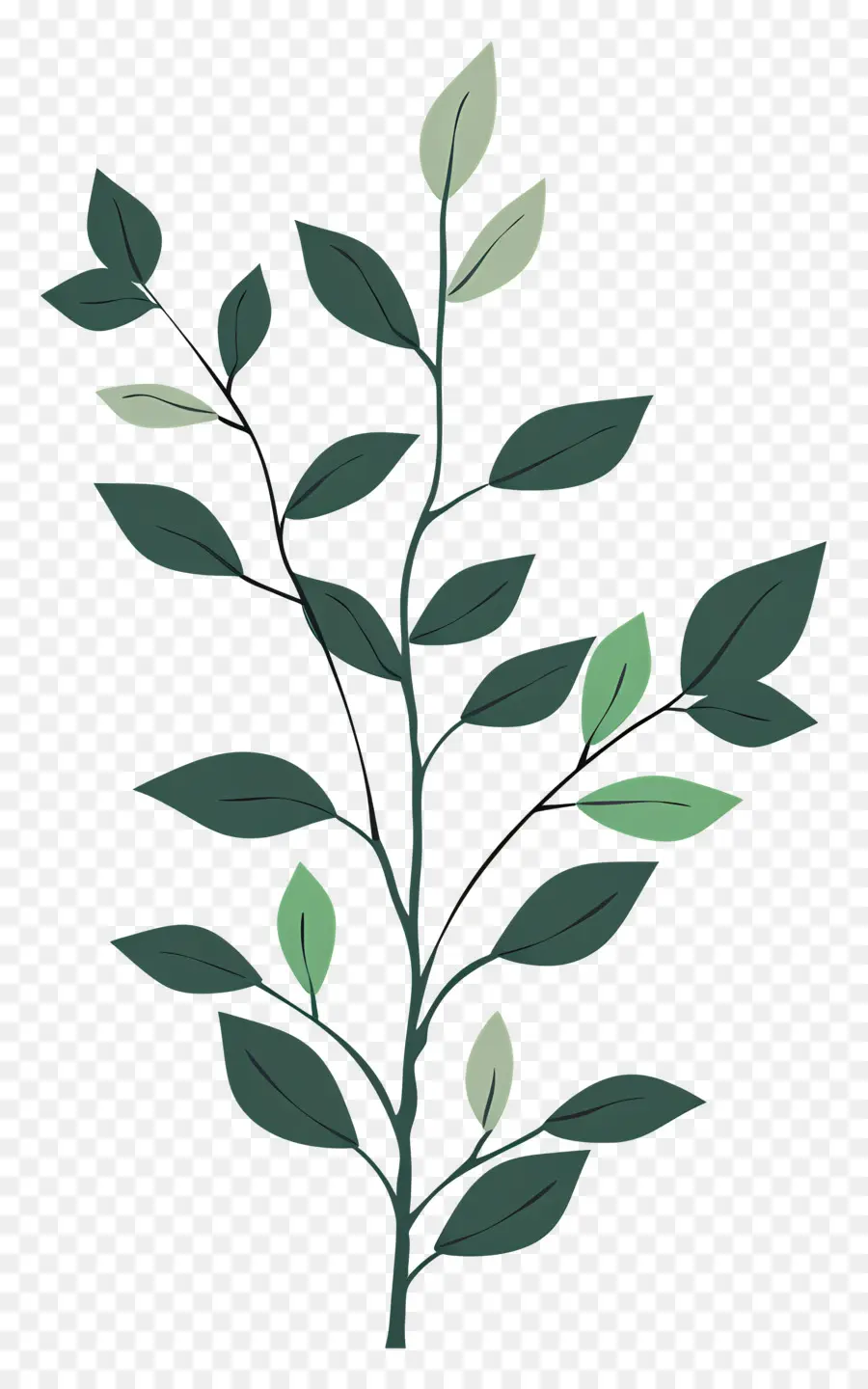 Planta De Haste，árvore PNG